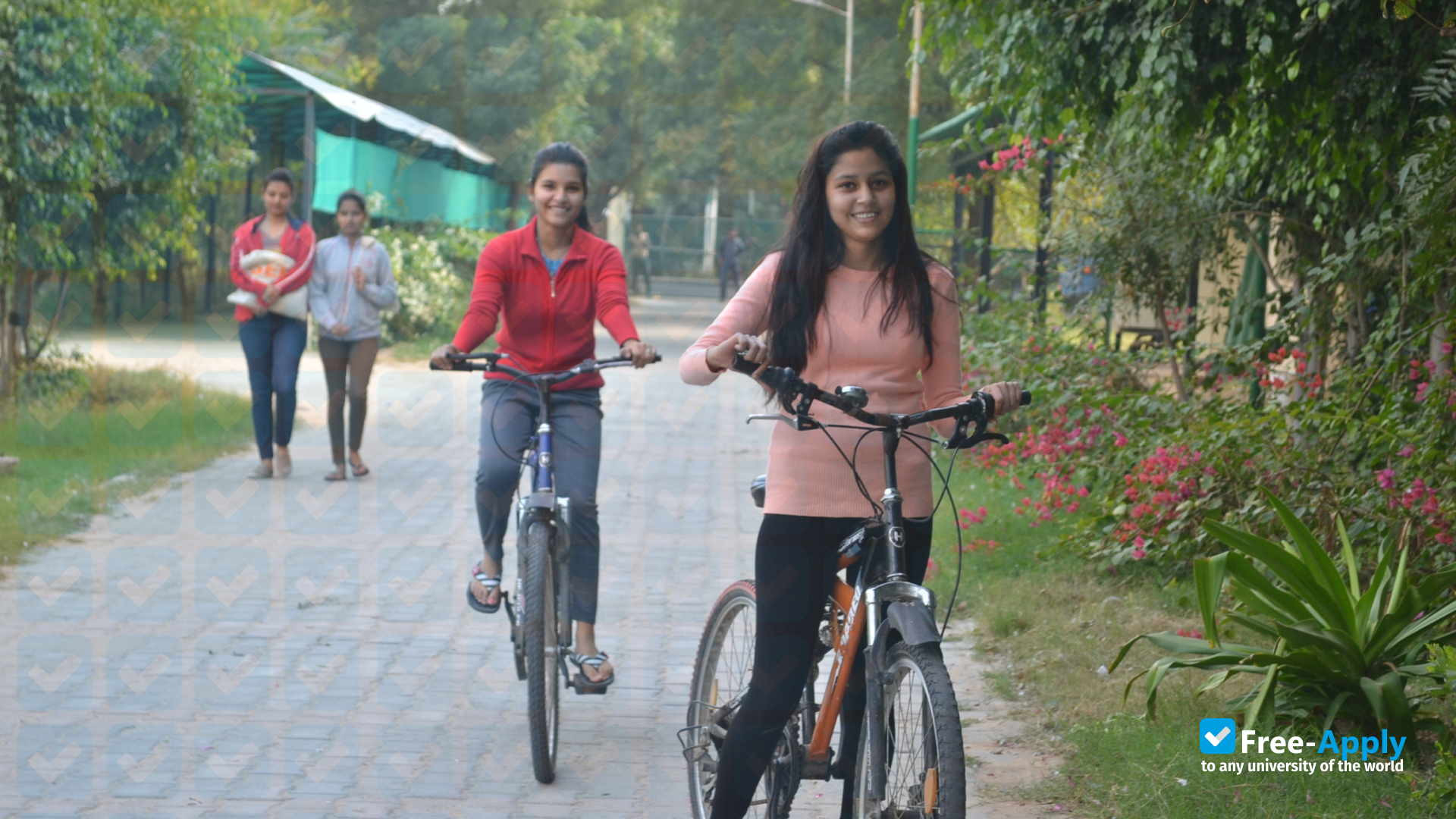 Foto de la Jayoti Vidyapeeth Women's University, Jaipur #9