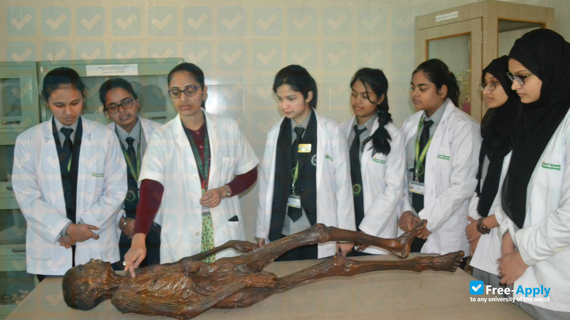 Foto de la Jayoti Vidyapeeth Women's University, Jaipur #8