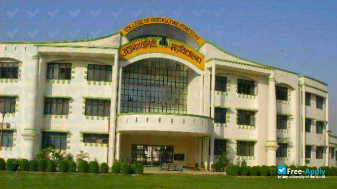 Photo de l’Narendra Deva University of Agriculture and Technology #2