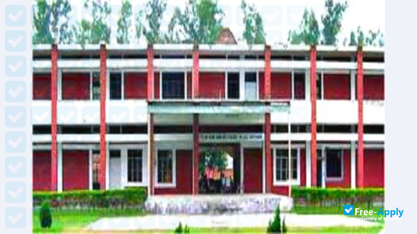Awdhesh Pratap Singh University photo #4