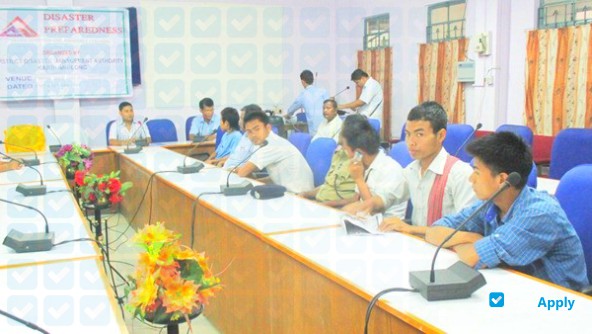 Foto de la Diphu Government College