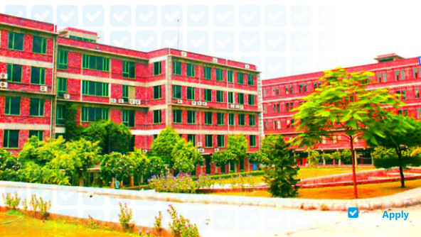 NIILM Centre for Management Studies photo