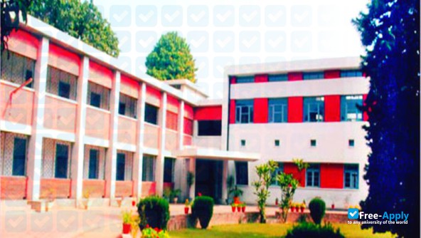 Dhivya Polytechnic College photo #8