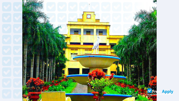 Christ College of Engineering Irinjalakuda photo #6