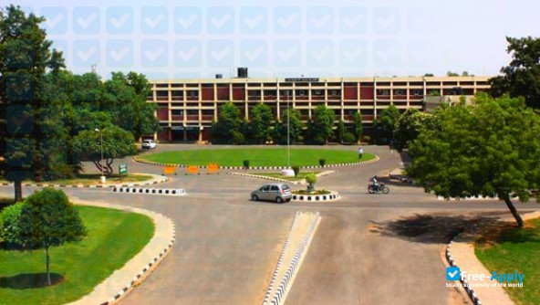 Punjab Agricultural University Ludhiana фотография №7