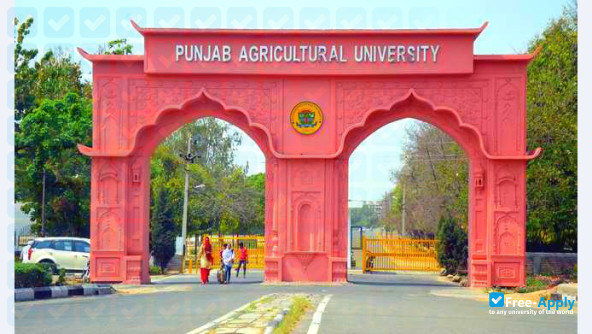 Punjab Agricultural University Ludhiana фотография №2
