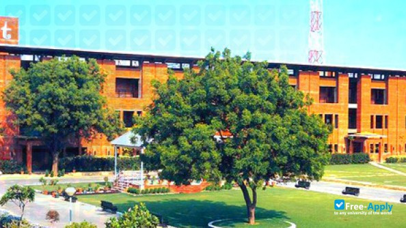 Foto de la Jaypee Institute of Information Technology University Noida #5