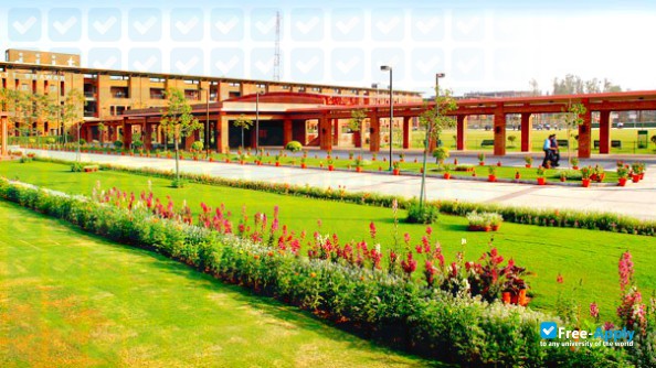 Foto de la Jaypee Institute of Information Technology University Noida #2