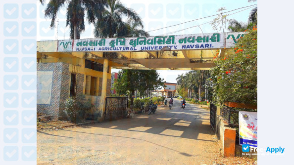Navsari Agricultural University photo #6