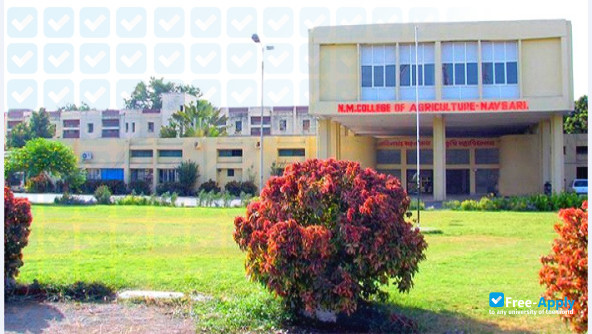 Фотография Navsari Agricultural University