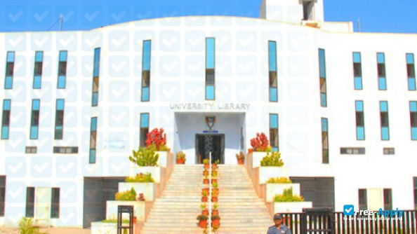 Bhavnagar University photo #1