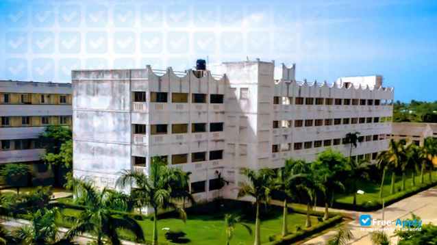 Sri Venkateswara College of Engineering photo #4