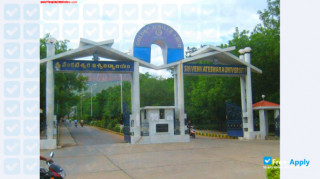 Sri Venkateswara College of Engineering миниатюра №3