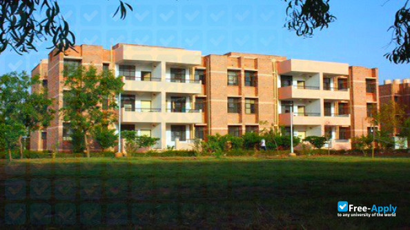 Indian Institute of Technology Rajasthan photo #4