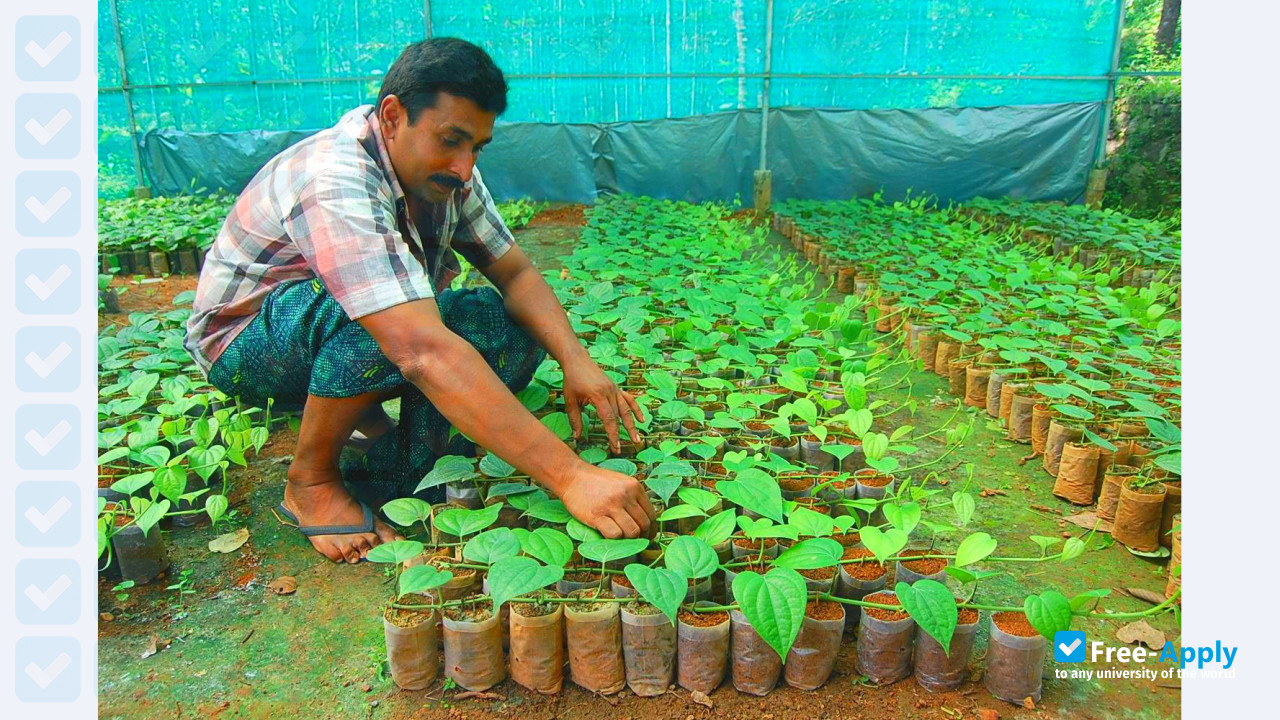 Kerala Agricultural University photo #9