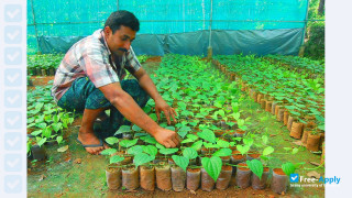 Kerala Agricultural University vignette #7
