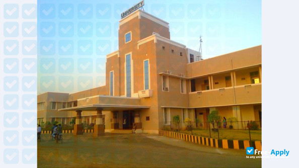 Photo de l’Jawaharlal Nehru Technological University Kakinada #9