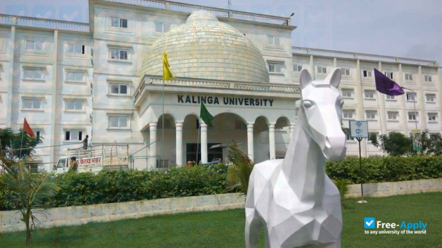 Kalinga University photo