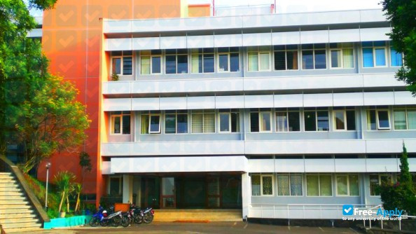 Foto de la Parahyangan Catholic University #4