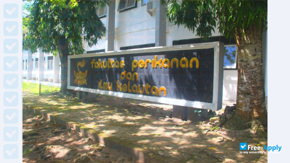 Photo de l’Universitas Pattimura