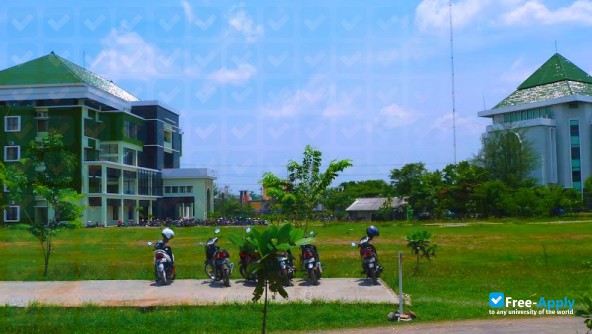 University of Muhammadiyah Semarang фотография №4