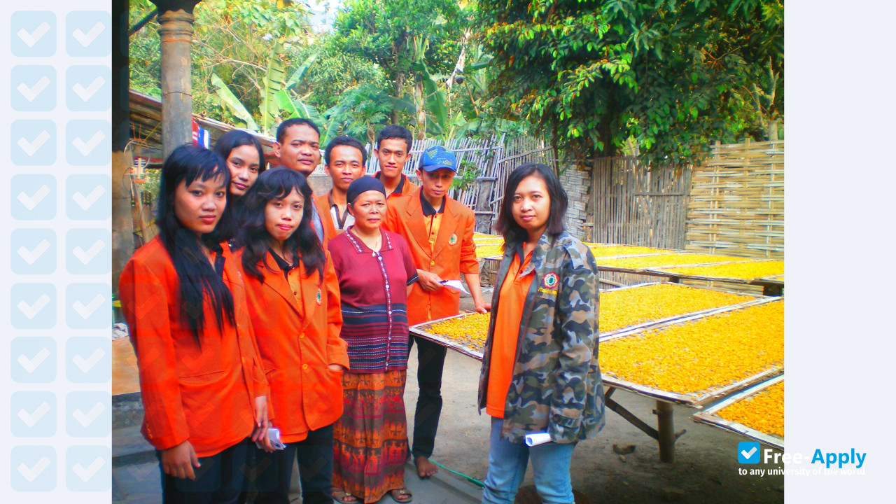 Majapahit Islamic University фотография №3