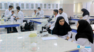 Miniatura de la Ahvaz Jundishapur University of Medical Sciences #3