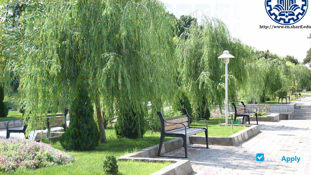 Sharif University of Technology фотография №27
