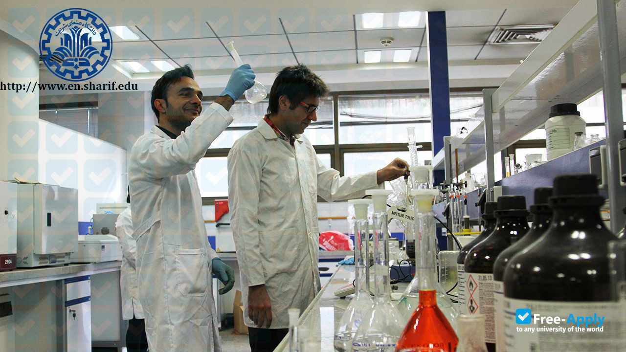 Sharif University of Technology фотография №2