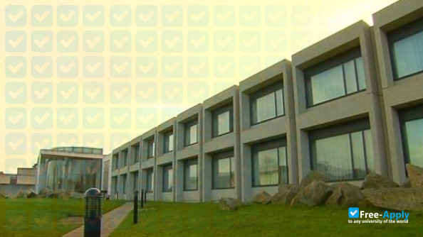 Irish Management Institute фотография №6