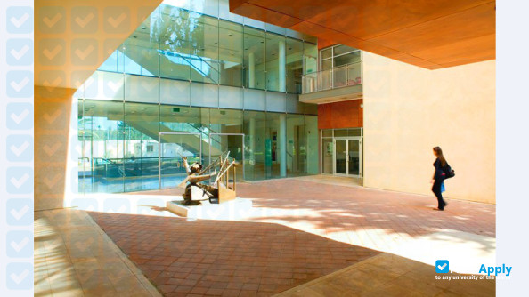 Interdisciplinary Center Herzliya photo #8