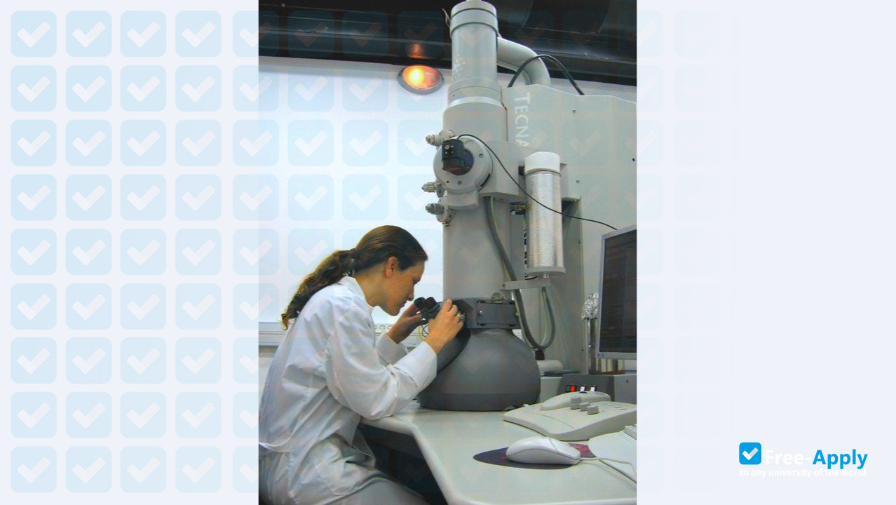 Technion - Israel Institute of Technology photo #5