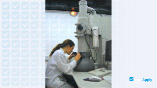 Technion - Israel Institute of Technology thumbnail #1