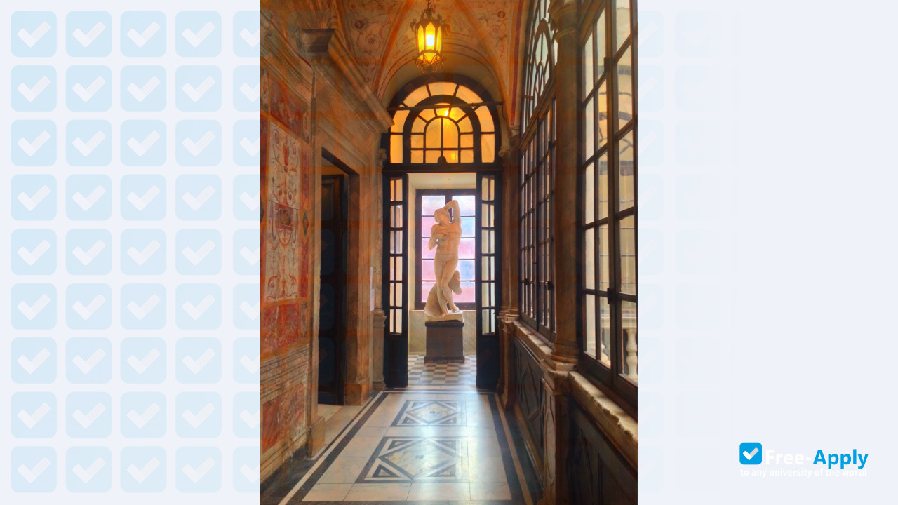 Carrara Academy of Fine Arts photo
