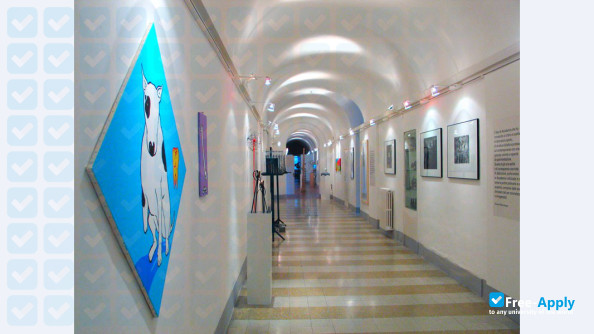 Photo de l’Academy of Fine Arts in Urbino #6