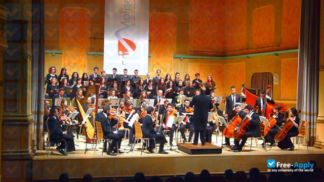 Foto de la Conservatory of Music L Perosi Campobasso #8