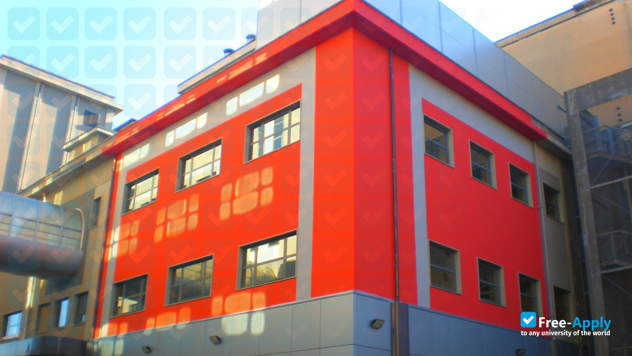 European School of Economics