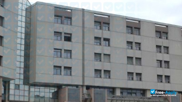 Marche Polytechnic University photo #2