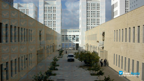 Mediterranea University of Reggio Calabria photo #2