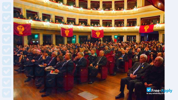 Mediterranea University of Reggio Calabria photo #5