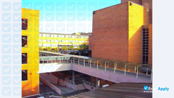 Pontifical Salesian University photo #8