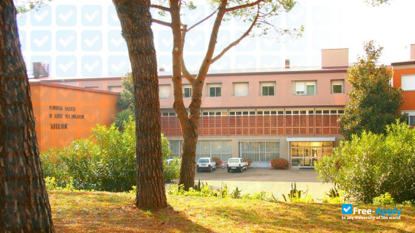Pontifical Faculty of Auxilium Education Sciences фотография №5