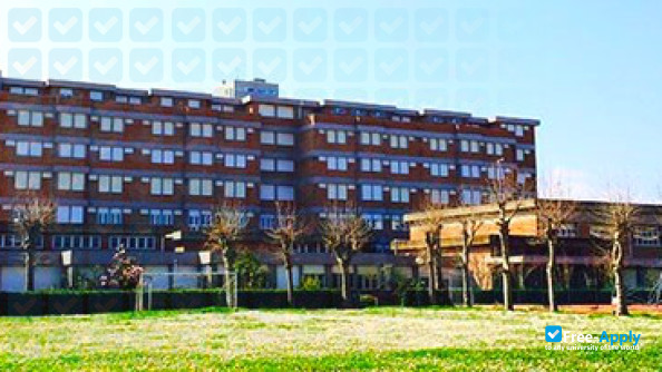 Scuola Superiore Mediatori Linguistici Fondazione Universitaria San Pellegrino photo