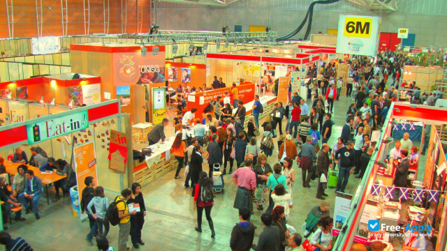 Higher educational institution in Rome, Italy photo #6