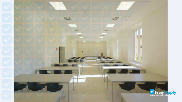 Online University IUL - Florence photo