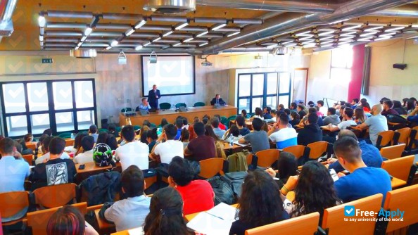 Photo de l’University of Cagliari #5