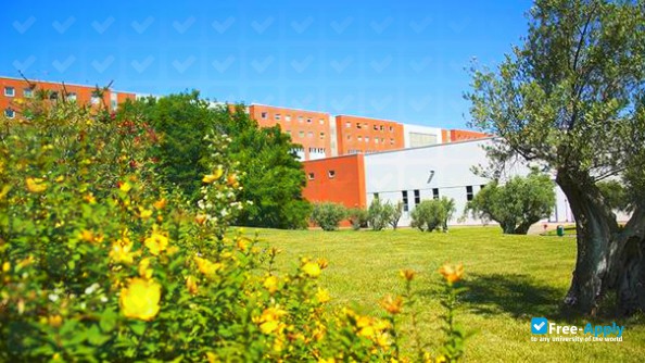 Photo de l’University of Calabria
