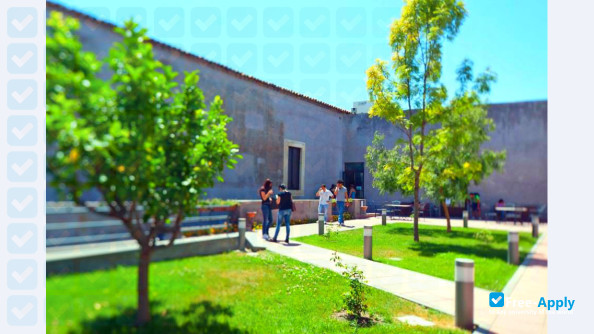 Photo de l’University of Catania #6