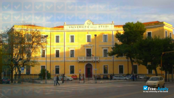 University of Foggia фотография №10