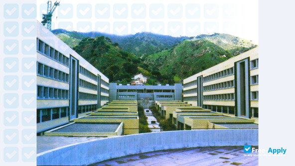 Photo de l’University of Messina #3
